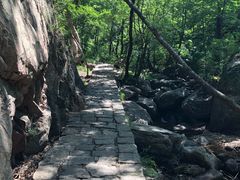 -驼梁风景区