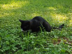 -国家植物园南园