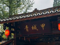 -青城甲(青城山店)