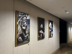 -成都保利公园皇冠假日酒店(熊猫基地店)