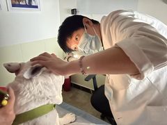 -美联众合动物医院·24h转诊中心
