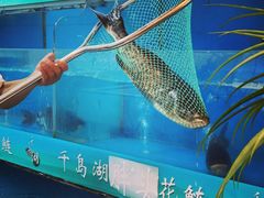 -永安水煮活鱼·仪征菜(仪征奥林匹克店)