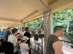 -广西龙虎山风景区