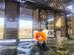 -春晖园度假酒店温泉