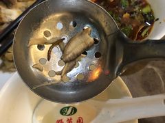 -野菌园·野生菌火锅首创第一家(关兴路总店)