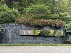 -云溪植物园