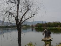 -飞来湖湿地公园