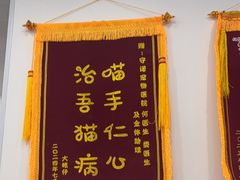 -守诺宠物医院·眼科· 神经外科·爬宠专科(虹口店)
