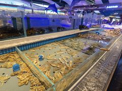 -一方渔歌蒸汽海鲜自助(文化路万达广场店)