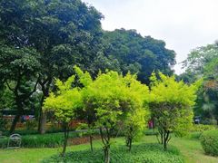 -晓港公园