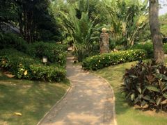 picture-厦门日月谷温泉渡假村