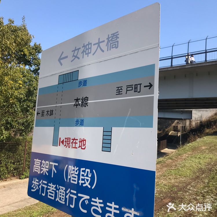 看到点评都是邮轮客过来的 一般的也不会来吧