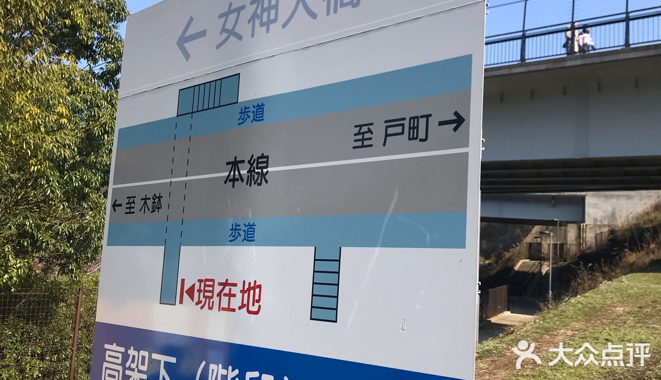 看到点评都是邮轮客过来的 一般的也不会来吧