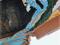 -西双版纳原始森林公园