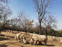 -西安秦岭野生动物园