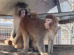 -北京市海淀外国语实验学校