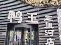 -鸭王烤鸭店(三里河店)