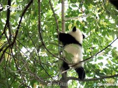 -海底捞火锅(泉城路店)