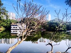 -东山湖公园