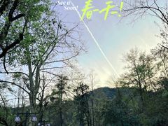 -桃花岭景区