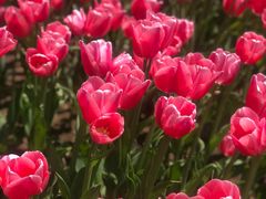 -长春公园(普阳街道)