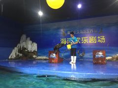 -南山植物园