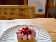 -猫里有甜