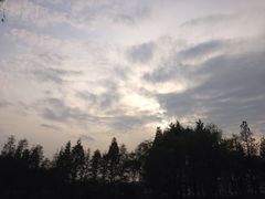 -新江湾城公园