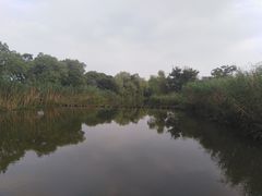 -梁鸿国家湿地公园
