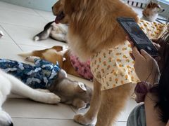 -怪兽屋·羊驼·猫咖·狗咖(俊华广场店)