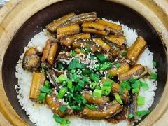 -红星光发煲仔饭(大石街店)