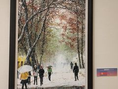 -陕西省美术博物馆