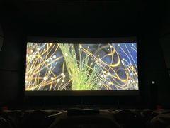 -奥斯卡升龙国际影城(RealD Cinema)