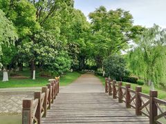 -上海鲜花港