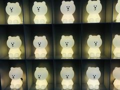 -line friends(明洞旗舰店)
