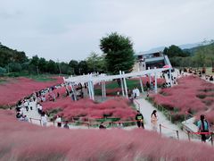 -牛岗山公园