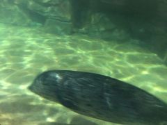 -福州罗源湾海洋世界旅游区