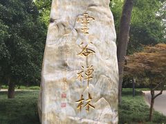 -灵谷景区