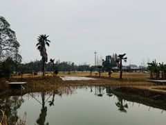 -四川大学(望江校区)