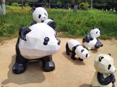-日照海滨国家森林公园