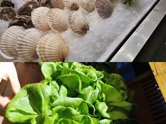 -福苗小骆驼烧烤(大唐不夜城店)