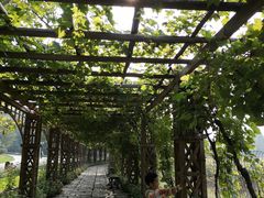 -北京张裕爱斐堡酒庄