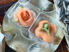 -大唐贡茶院