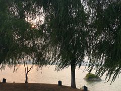 -艾溪湖湿地公园