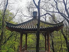 -紫霞湖公园