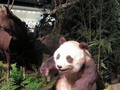 -四川大学博物馆