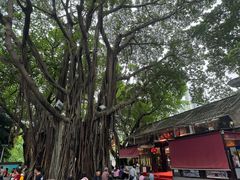 -荔湾湖公园