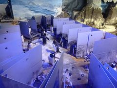 -成都浩海立方海洋公园