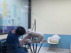 -天宠宠物医院24小时·急重症诊疗中心·全科·腔镜特色(和平分院)