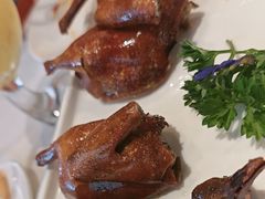 吮指乳鸽皇-至尊强仔(正光北街店)